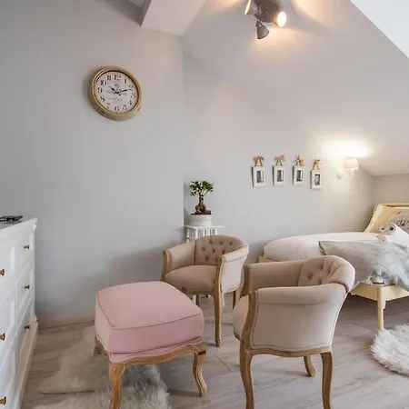 Apartament O Wysokim Standardzie W Centrum Miasta Апартаменты