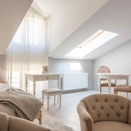 Apartament O Wysokim Standardzie W Centrum Miasta