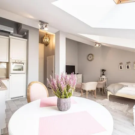 Apartament O Wysokim Standardzie W Centrum Miasta Apartamento *