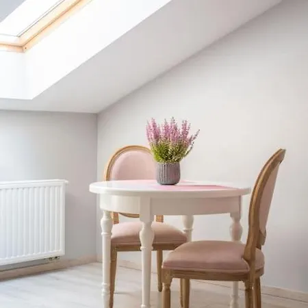 Apartament O Wysokim Standardzie W Centrum Miasta Cracovia